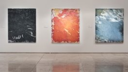 Aida Tomescu, ‘Laverty 2’ Installation View 2011, Newcastle Art Gallery