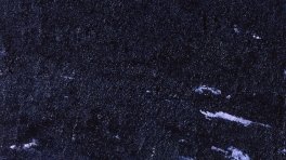 Aida Tomescu,'Unu', 1999, oil on canvas, 183 x 152cm