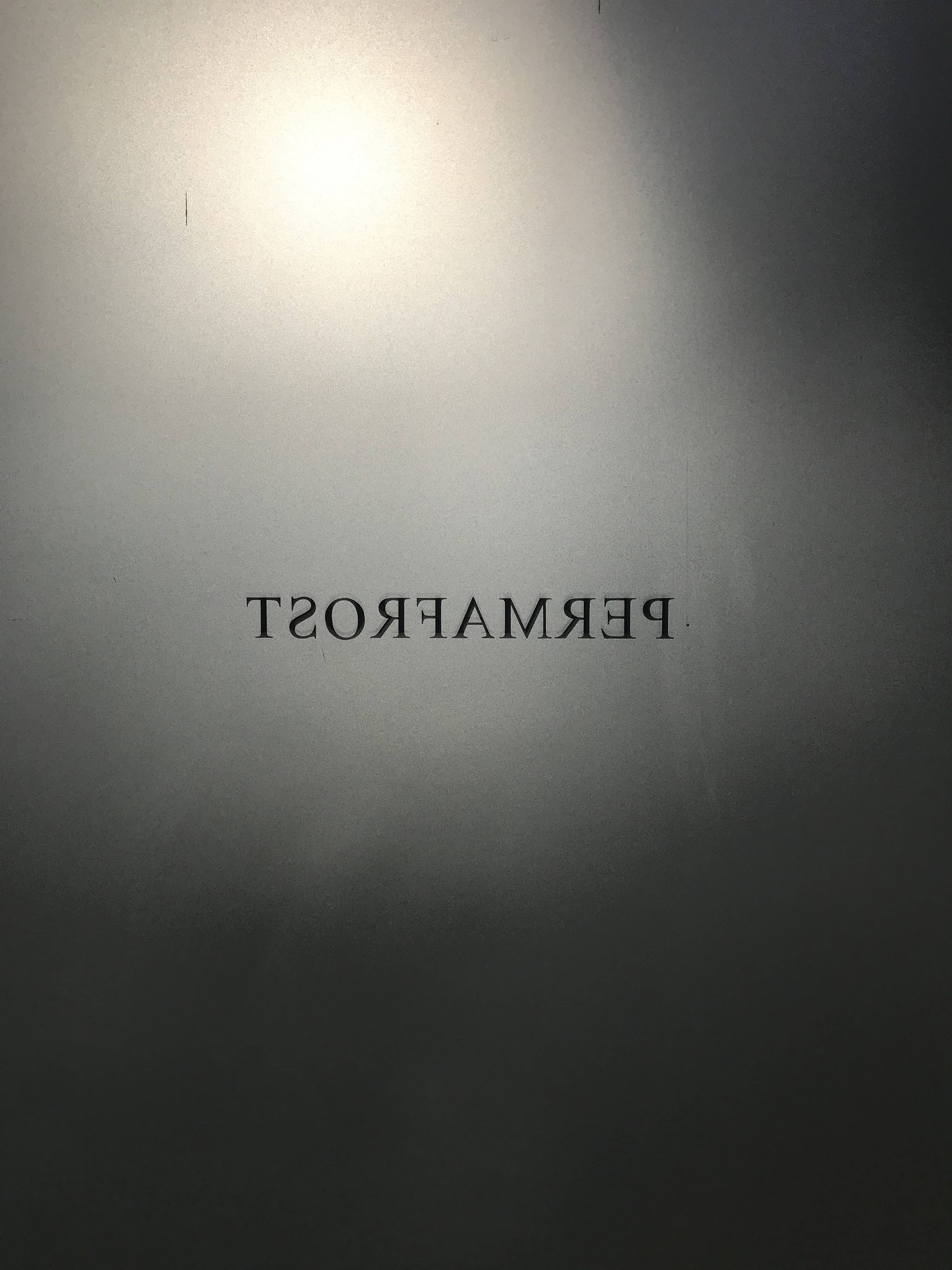 Aida Tomescu, Permafrost exhibition, Alexandria, Sydney