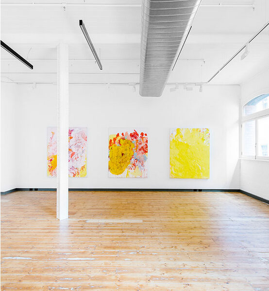 Aida Tomescu, Aida Tomescu, 2013