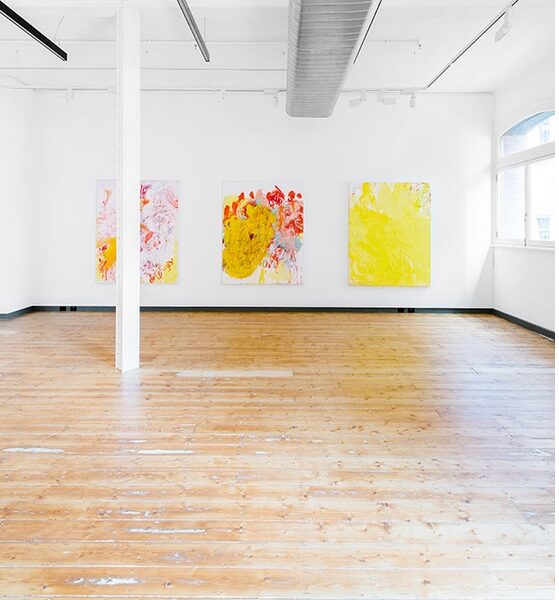 Aida Tomescu, Aida Tomescu, 2013