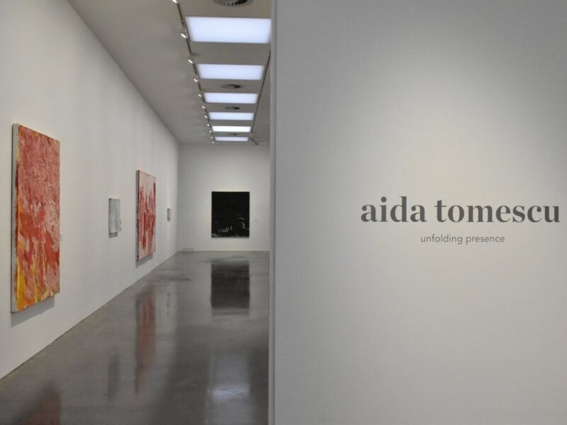 Aida Tomescu, Aida Tomescu 'Unfolding Presence' ORG 2021-22 Installation 1