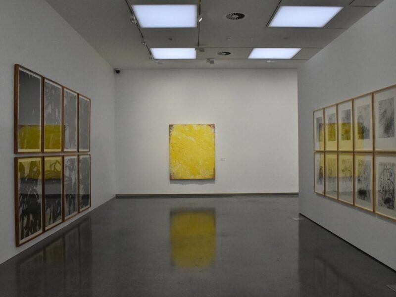 Aida Tomescu, Aida Tomescu 'Unfolding Presence' ORG 2021-22 Installation 6