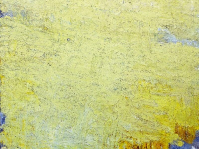 Aida Tomescu, Alba, 2002