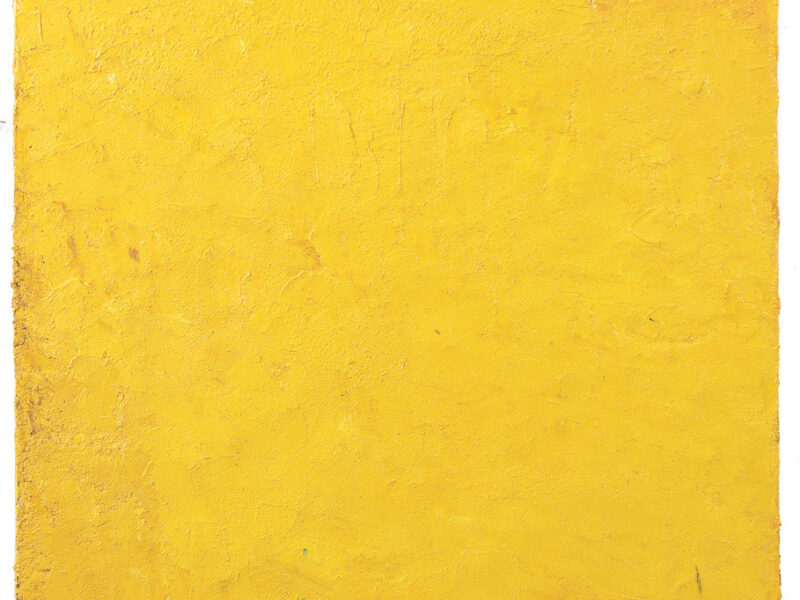 Aida Tomescu, Amras ii, 2004