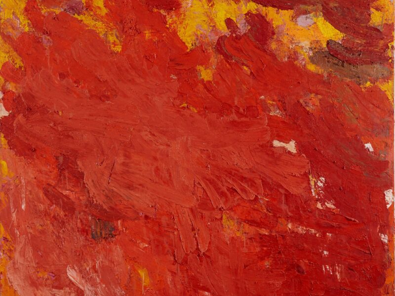 Aida Tomescu, Aqua Alta 2, 2008