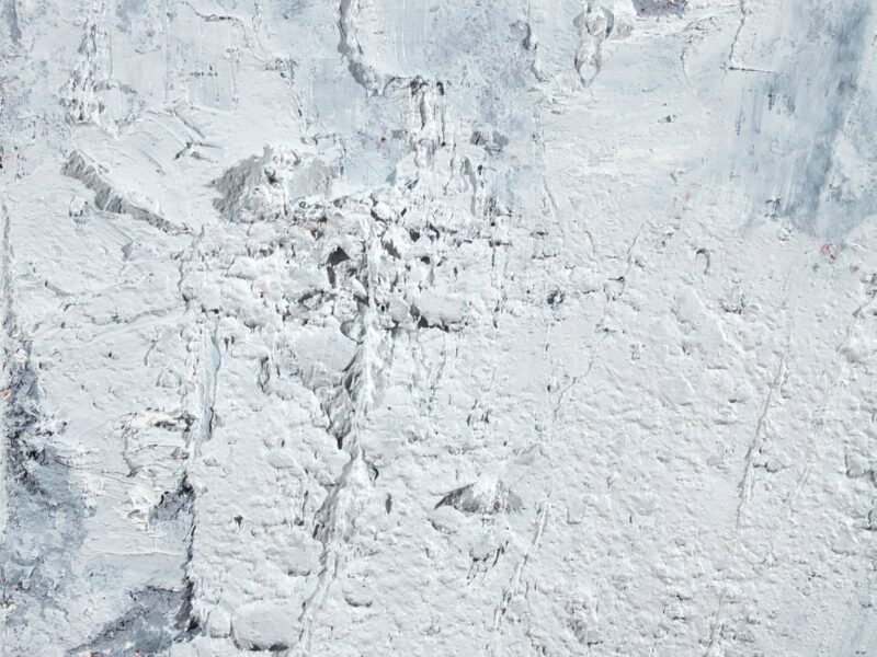 Aida Tomescu, Argint I (detail), 2018