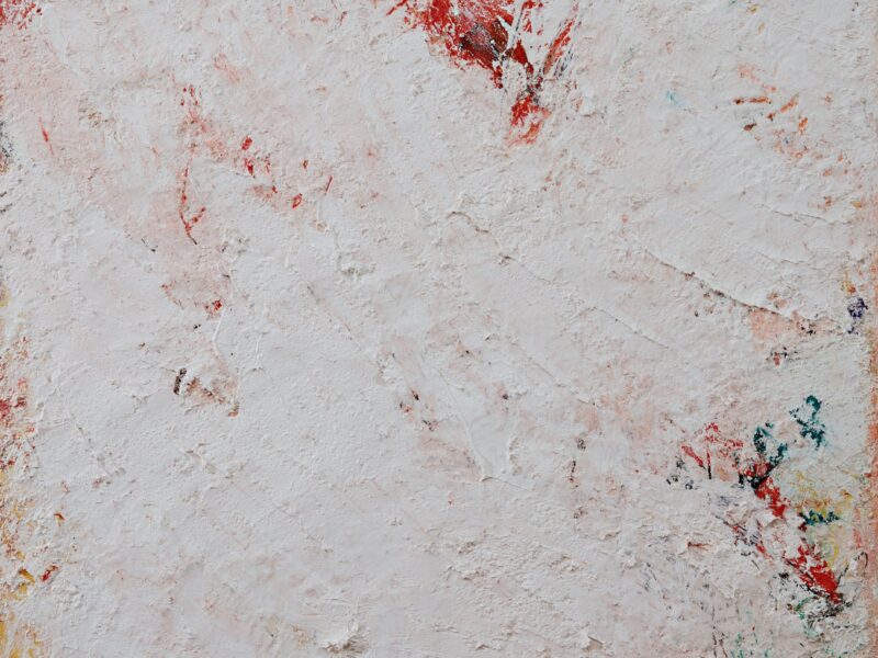 Aida Tomescu, Ash, 2015