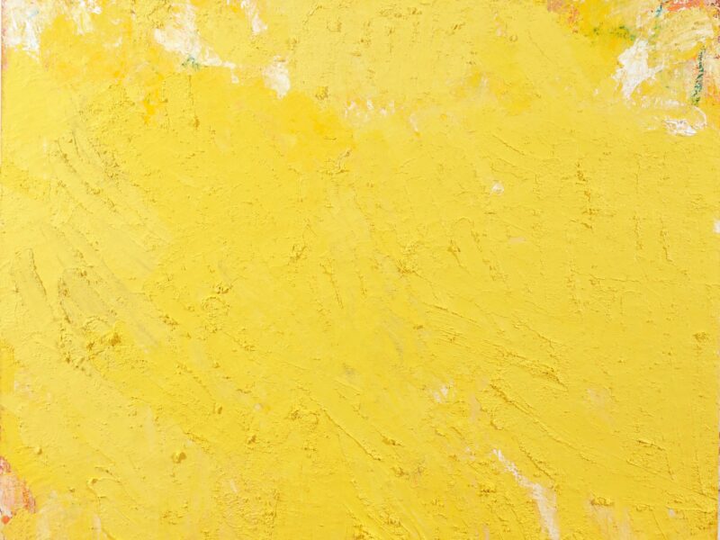 Aida Tomescu, Aureum, 2013