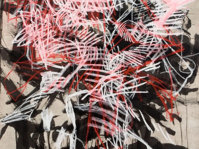 Aida Tomescu, Avis I, 2005