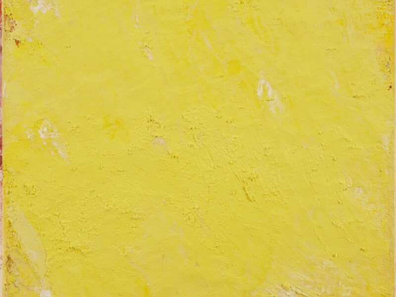 Aida Tomescu, Bloom, 2014