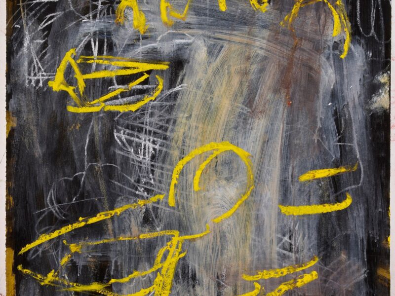 Aida Tomescu, Cyr, 2009