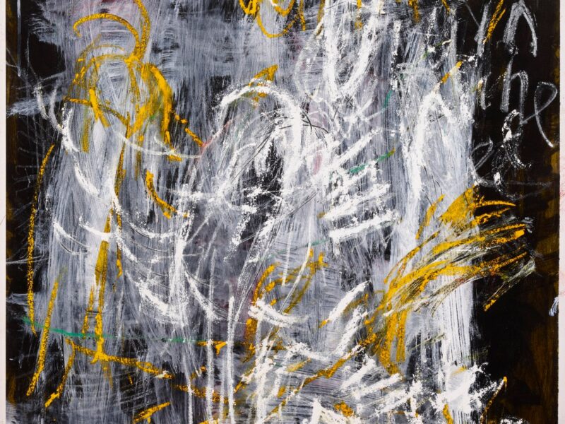 Aida Tomescu, Cyr I, 2009