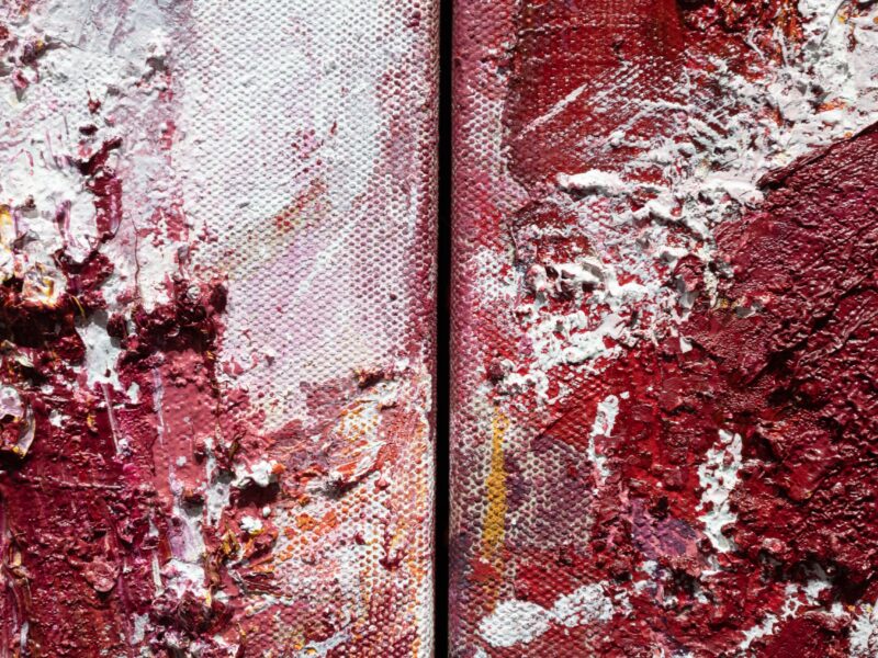 Aida Tomescu, Detail, The Open Wounds of White Clouds, 2019