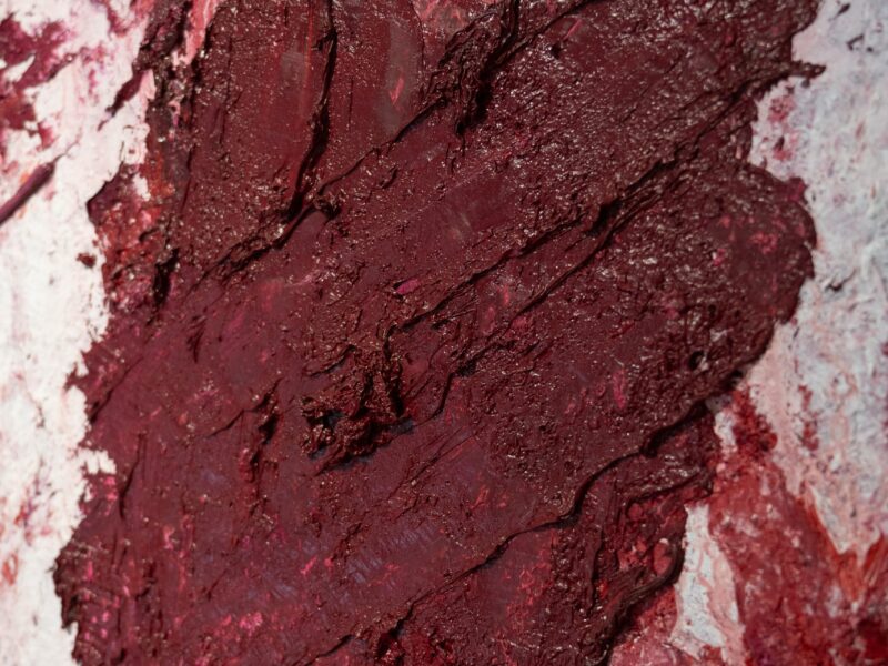 Aida Tomescu, Detail, The Open Wounds of White Clouds III, 2019