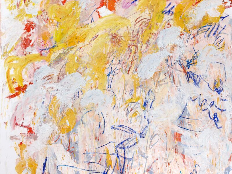 Aida Tomescu, Diacritical, 2012