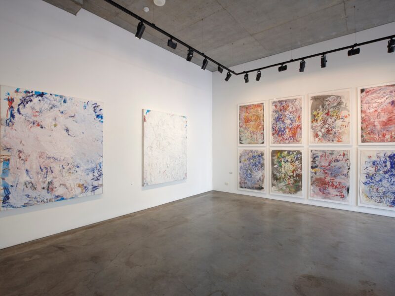 Aida Tomescu, Eden, 2010