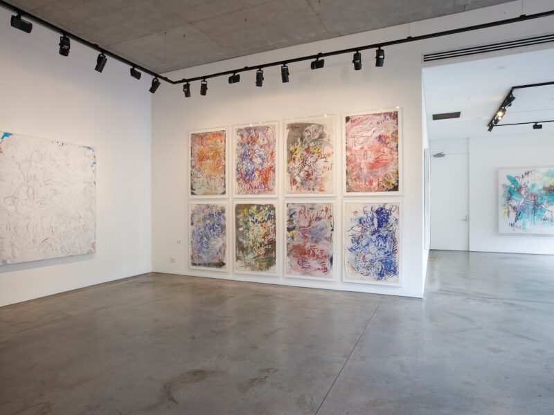 Aida Tomescu, Eden, 2010