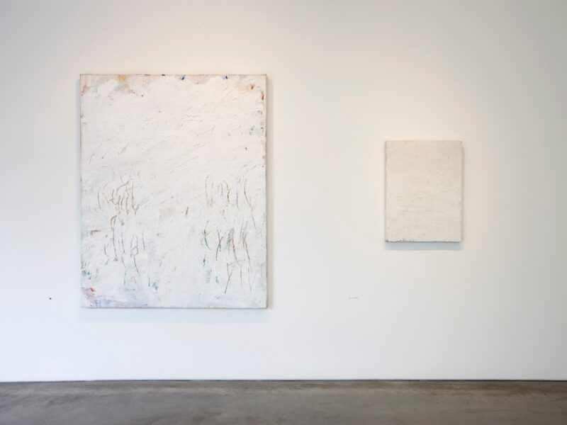 Aida Tomescu, Eden, 2010