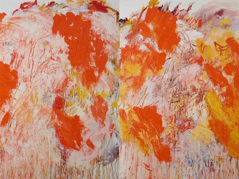 Aida Tomescu, Eyes in the Heat, 2015