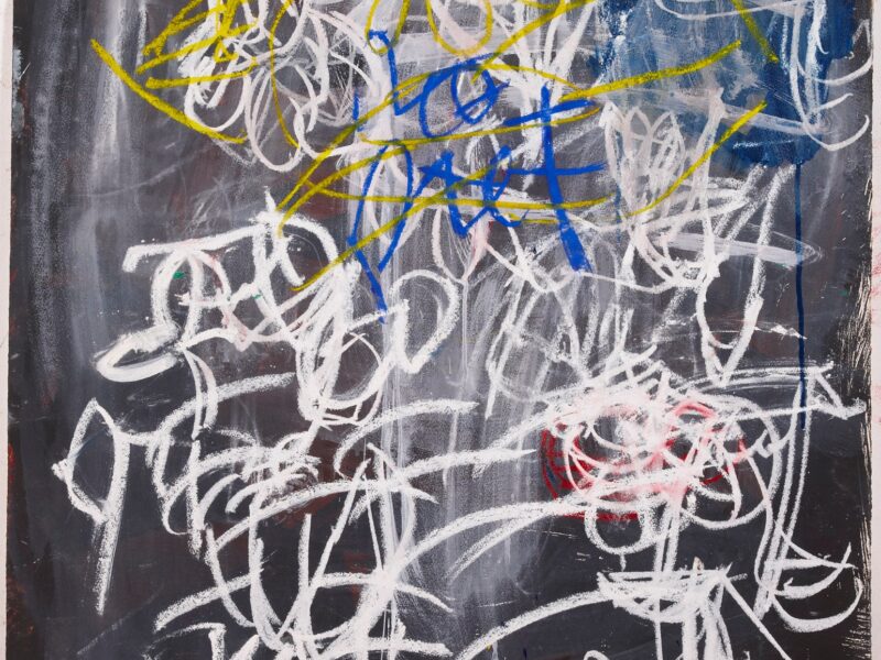 Aida Tomescu, Fons IV, 2009