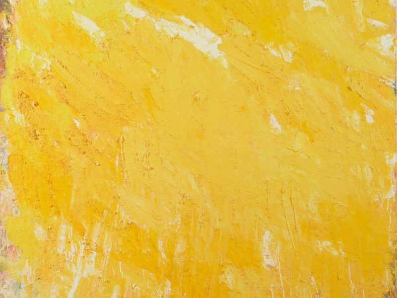 Aida Tomescu, Gloria, 2015