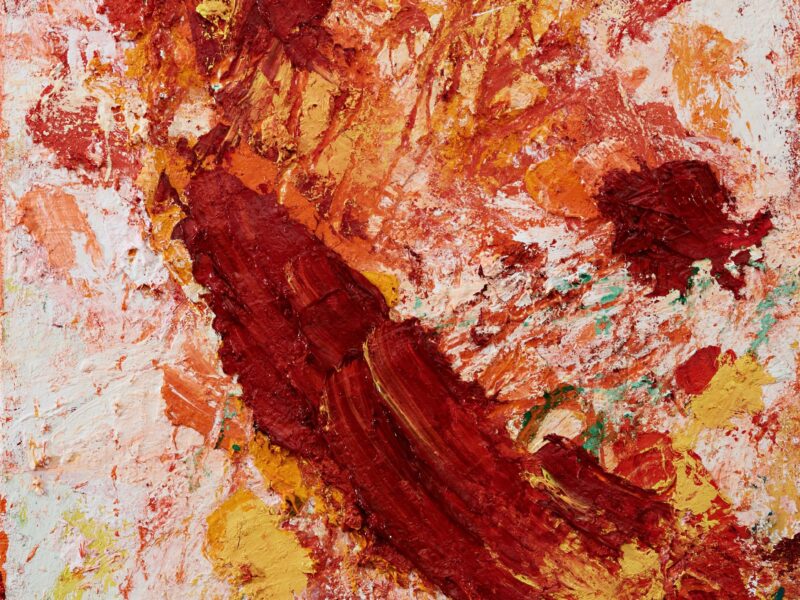 Aida Tomescu, Heartland, 2015