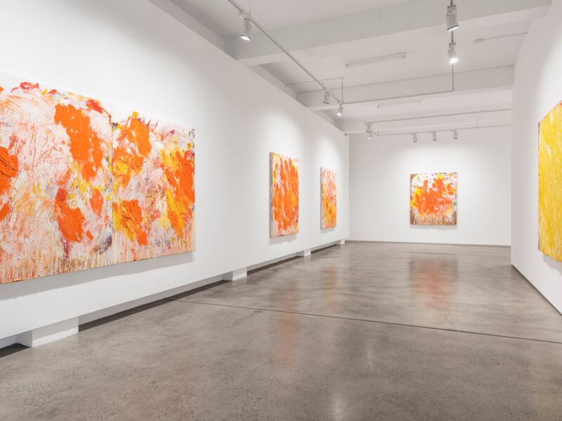 Aida Tomescu, Installation 001 Eyes In The Heat, 2015
