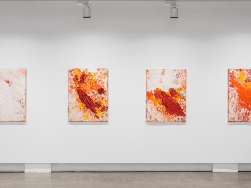 Aida Tomescu, Installation 003 Eyes In The Heat, 2015