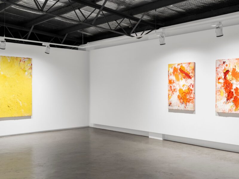 Aida Tomescu, Installation 004 Eyes In The Heat, 2015