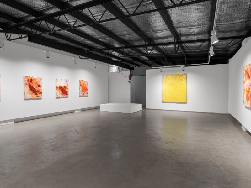 Aida Tomescu, Installation 007 Eyes In The Heat, 2015