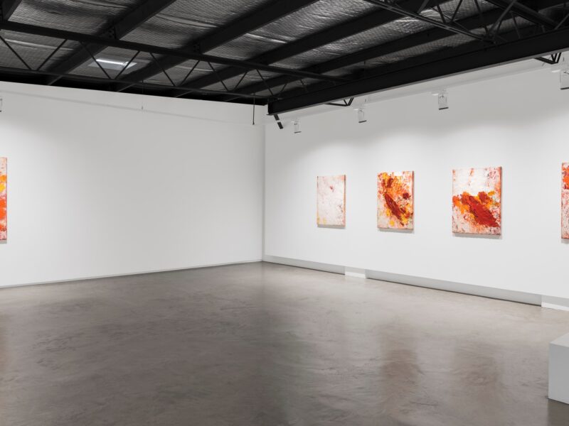 Aida Tomescu, Installation 009 Eyes In The Heat, 2015