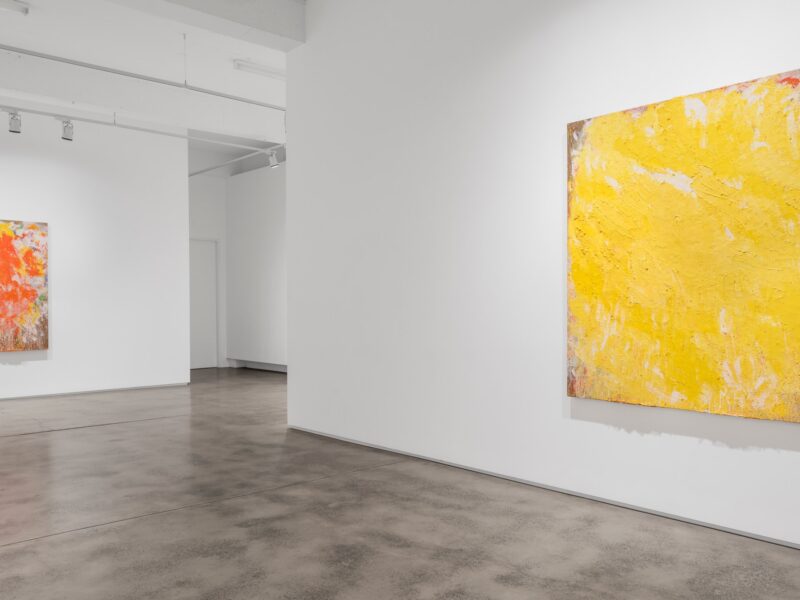 Aida Tomescu, Installation 010 Eyes In The Heat, 2015
