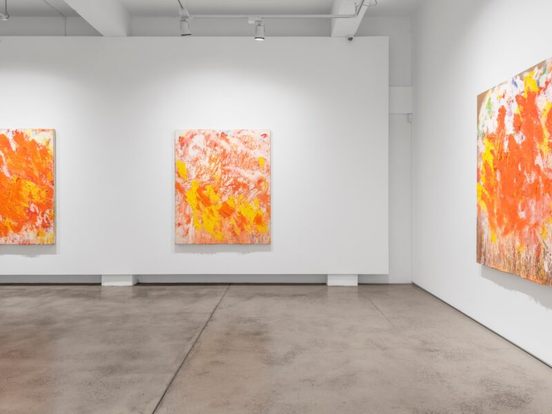 Aida Tomescu, Installation 011 Eyes In The Heat, 2015