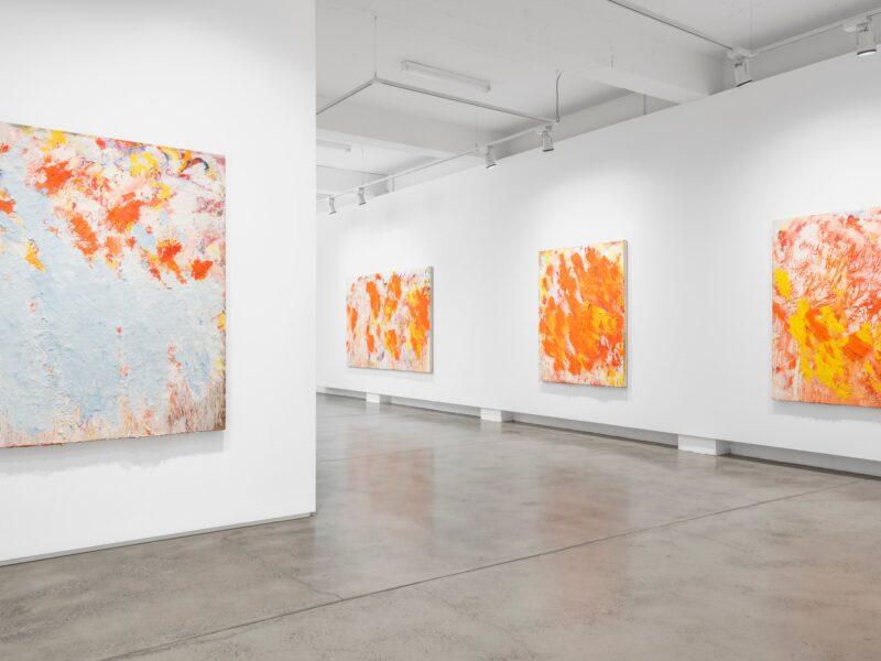 Aida Tomescu, Installation 015 Eyes In The Heat, 2015