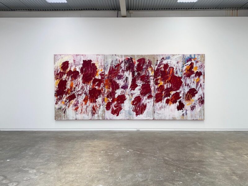 Aida Tomescu, Installation view 1, 2020