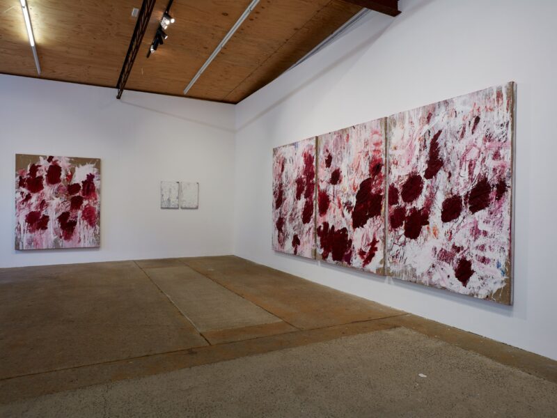Aida Tomescu, Installation view: 1