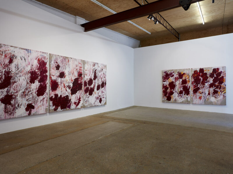 Aida Tomescu, Installation view: 10