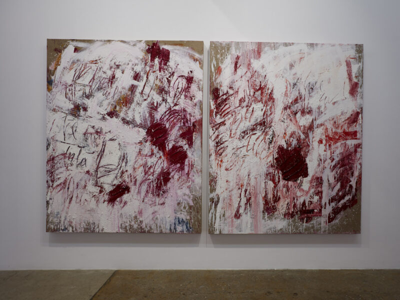 Aida Tomescu, Installation view: 12