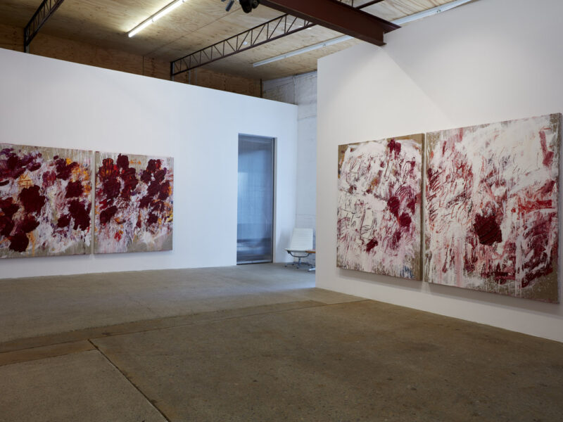 Aida Tomescu, Installation view: 14