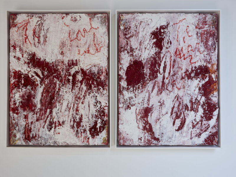Aida Tomescu, Installation view: 18