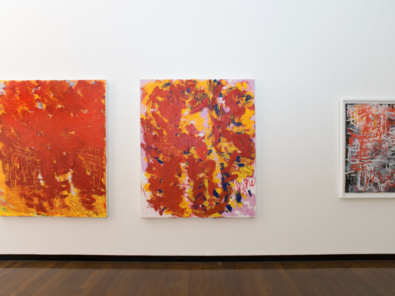Aida Tomescu, installation view 18, ANU Drill Hall Gallery, Paintings and Drawings, 2009