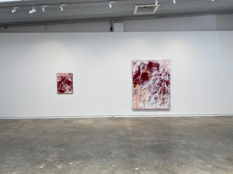 Aida Tomescu, Installation view 2, 2020