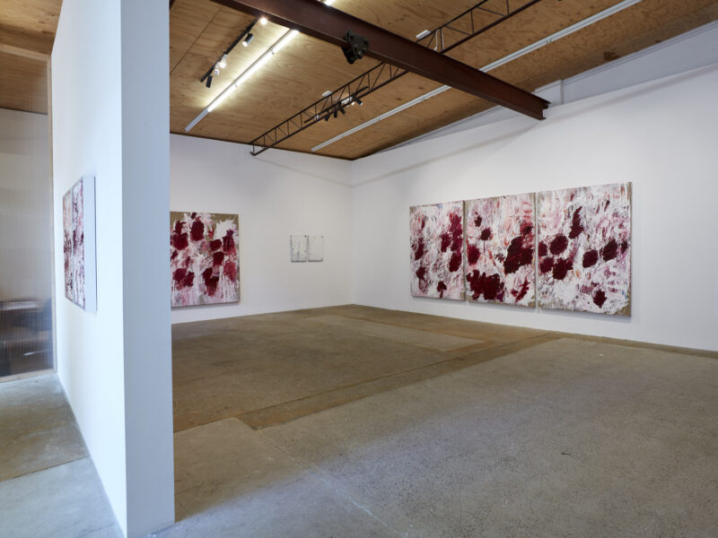 Aida Tomescu, Installation view: 22