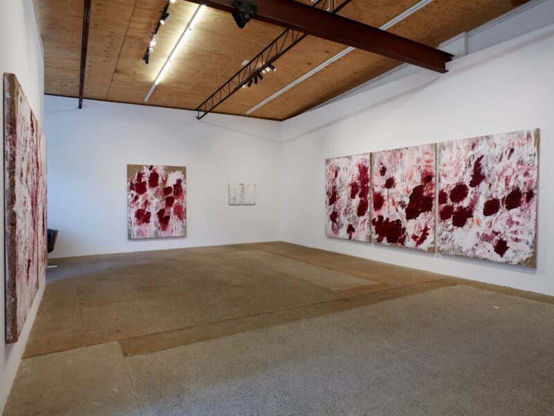 Aida Tomescu, Installation view: 23