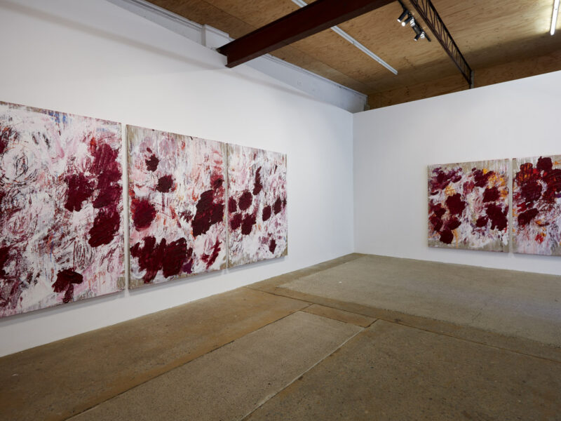 Aida Tomescu, Installation view: 25