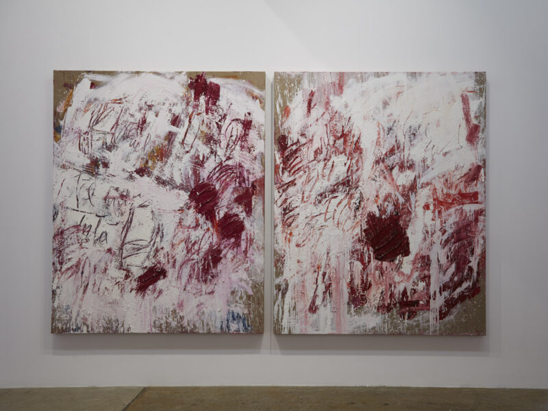 Aida Tomescu, Installation view: 30