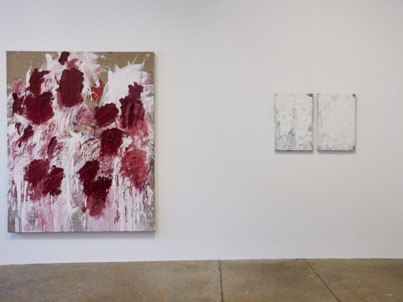 Aida Tomescu, Installation view: 5