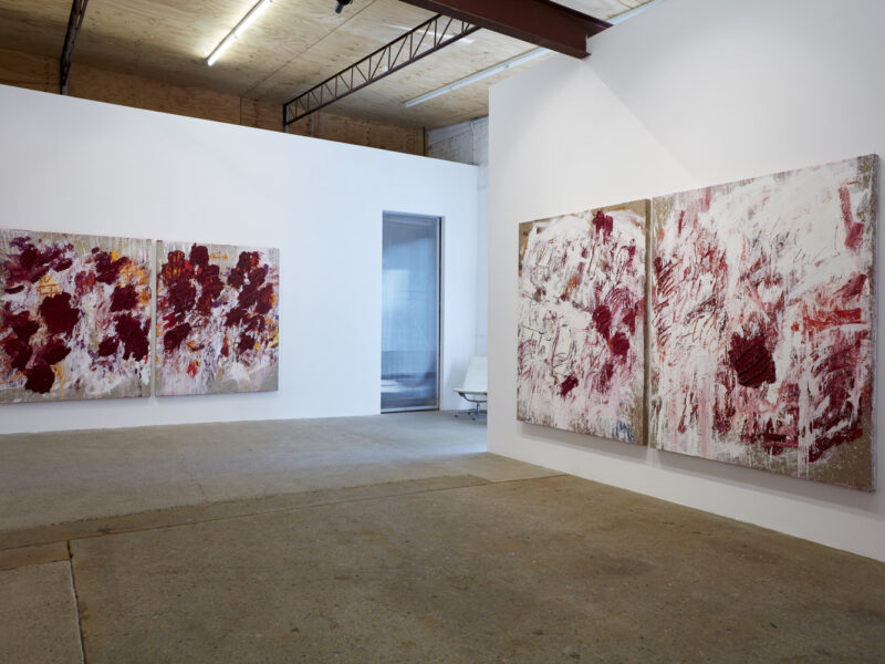 Aida Tomescu, Installation view: 7