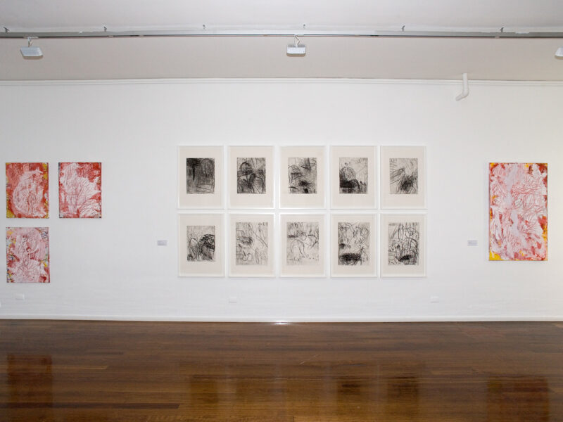 Aida Tomescu, installation view 9, ANU Drill Hall Gallery, Paintings and Drawings, 2009